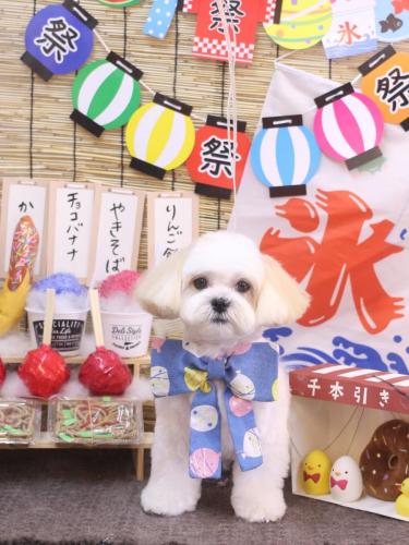 20240721ふくくん